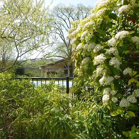 Pechingorp D'hotes * Le Verdier (Tarn)